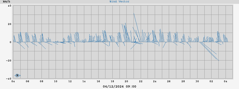 Wind Vector