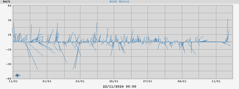 Wind Vector