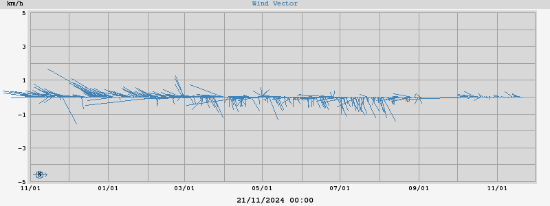 Wind Vector